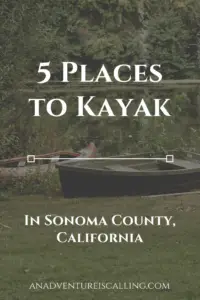 5 Places to Kayak in Sonoma County an Adventure is Calling