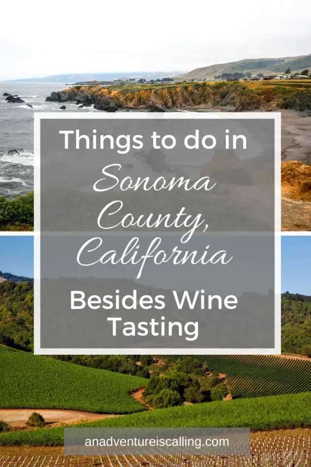 10 Things to do in Sonoma County (Besides Wine Tasting) | An Adventure ...