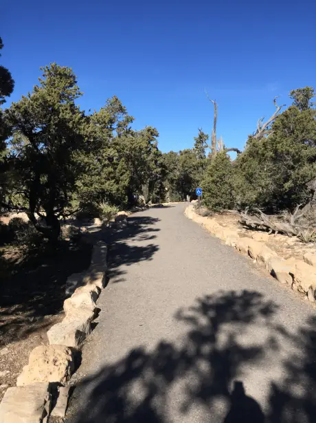 Grand Canyon National Park - Mammas Don't Let Your Babies Grow Up