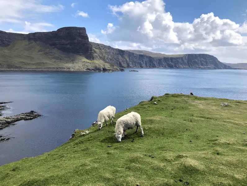 travel scotland with baby